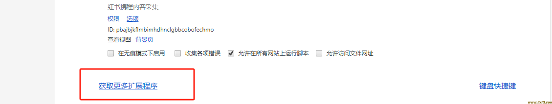 网页文字无法复制粘贴如何处理？如何强制粘贴复制？