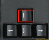 网页文字无法复制粘贴如何处理？如何强制粘贴复制？